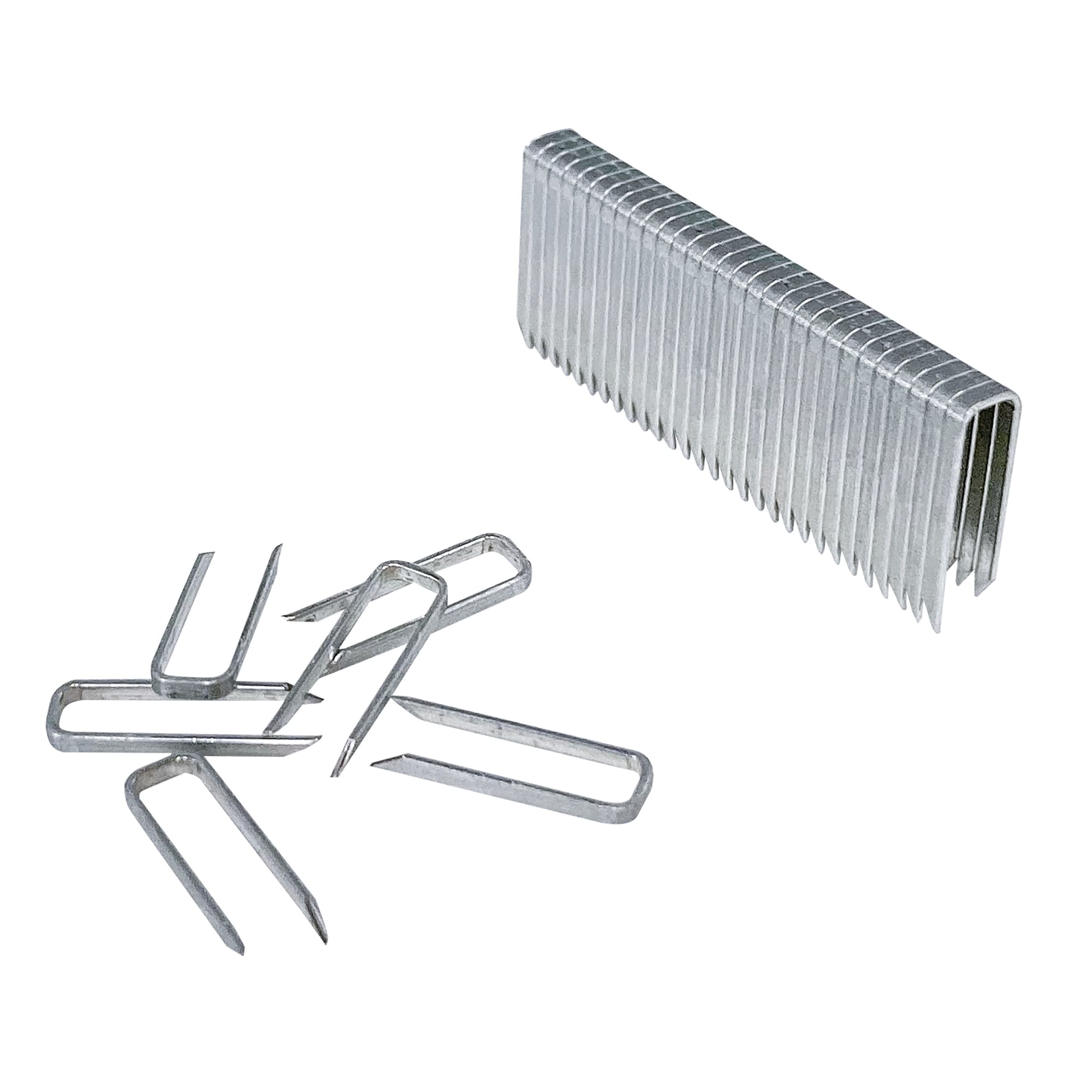 Divergent Point 9/16" Staples - 2
