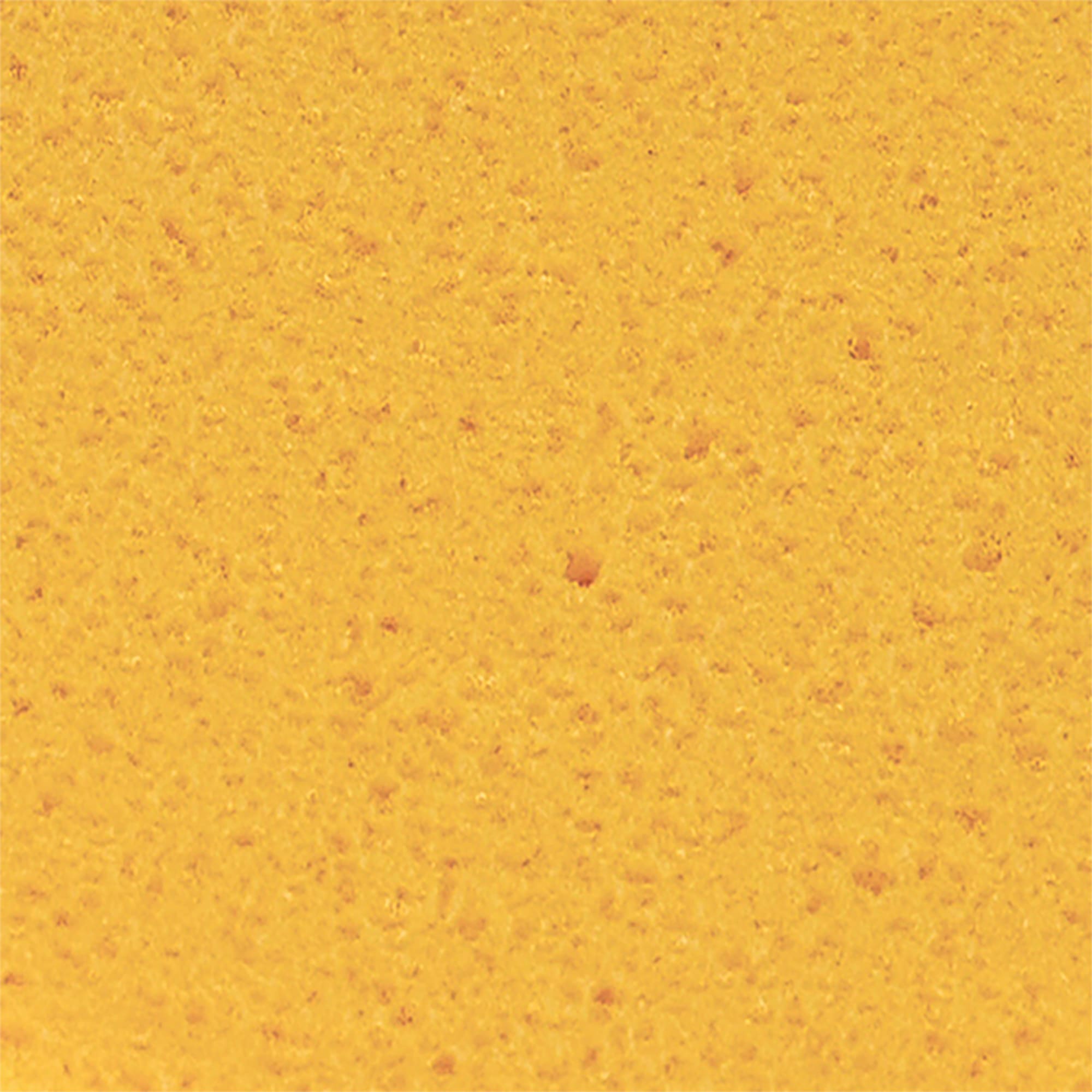 Heavy-Duty All-Purpose Sponge for Grouting & Cleaning - 6