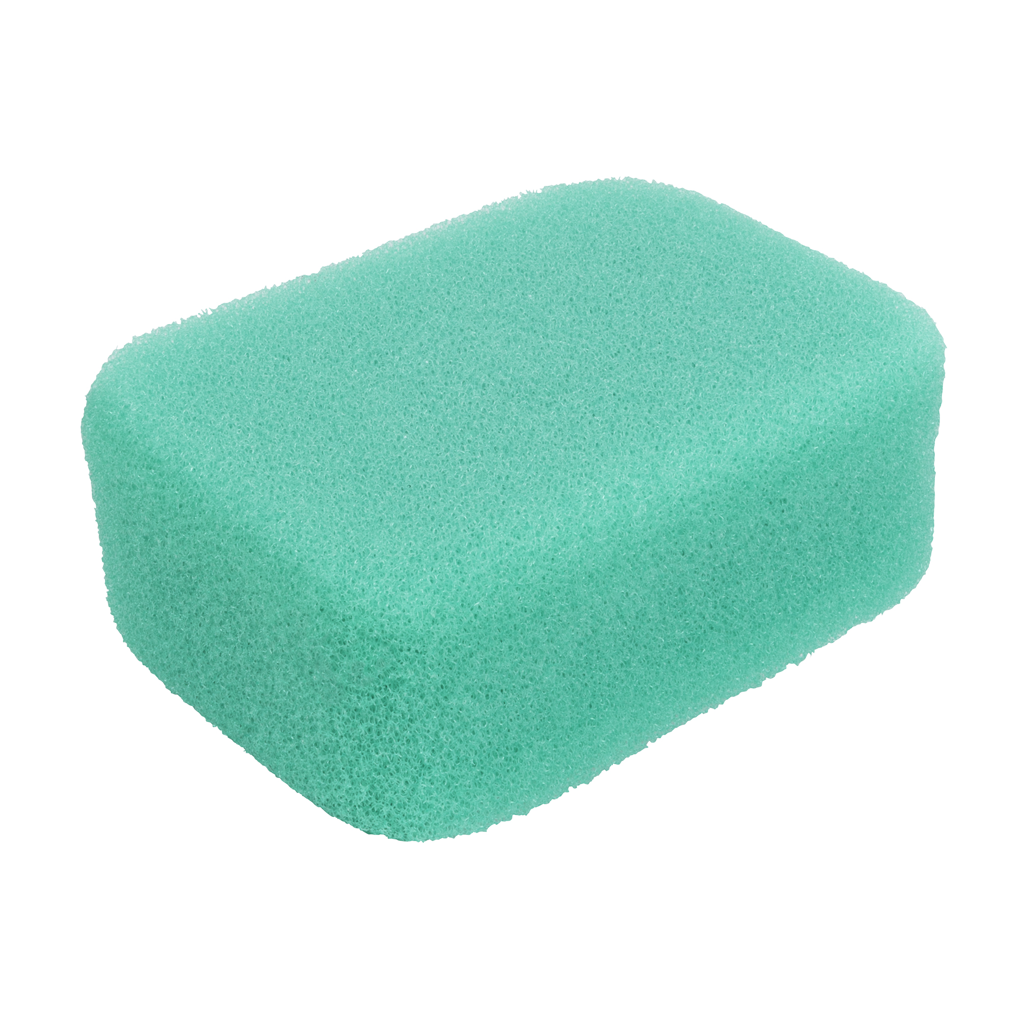 Large clean up sponge